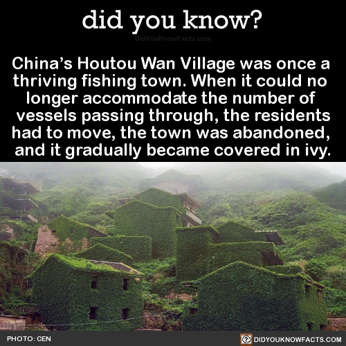 chinas-houtou-wan-village-was-once-a-thriving