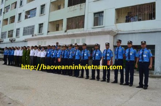 Dịch vụ bảo vệ chuyên nghiệp tại Ninh Bình