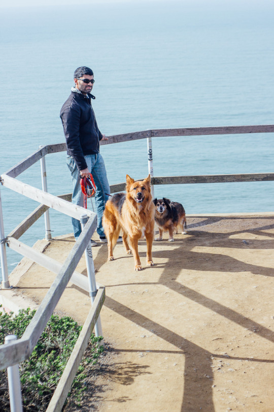 dog friendly muir beach overlook