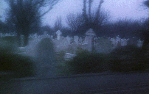 cementerio on Tumblr