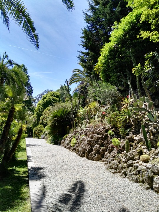 jungle Villa Carlotta