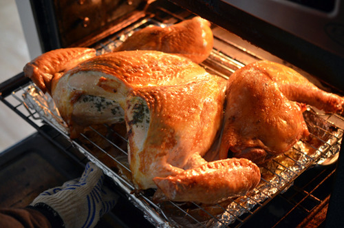 A Spatchcock Turkey is pulled out of the oven with golden brown skin.