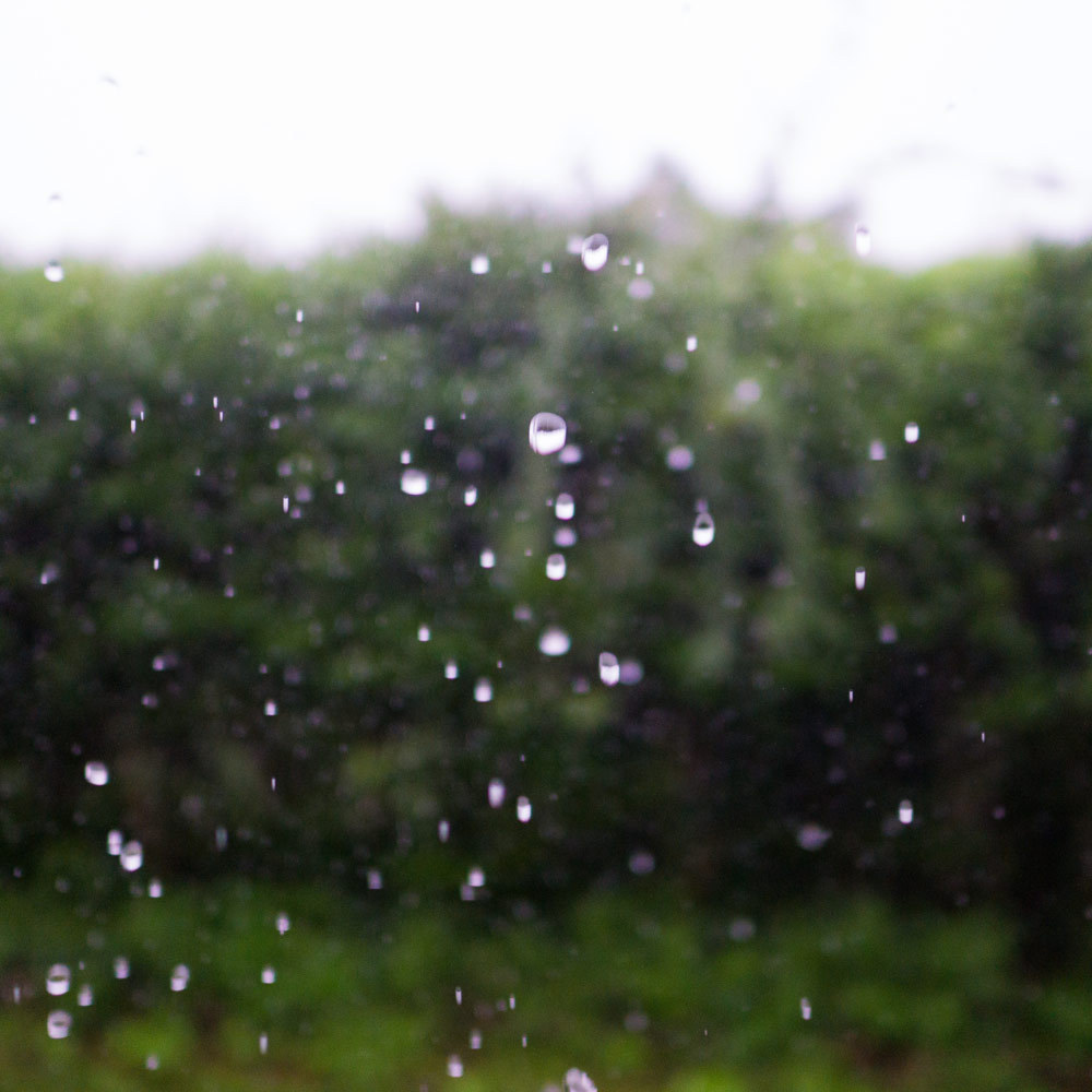 屋久島の雨
