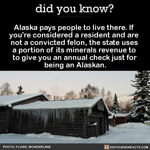 alaska-pays-people-to-live-there-if-youre