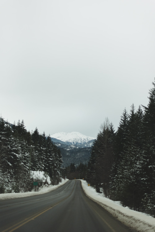 Road trip on Tumblr