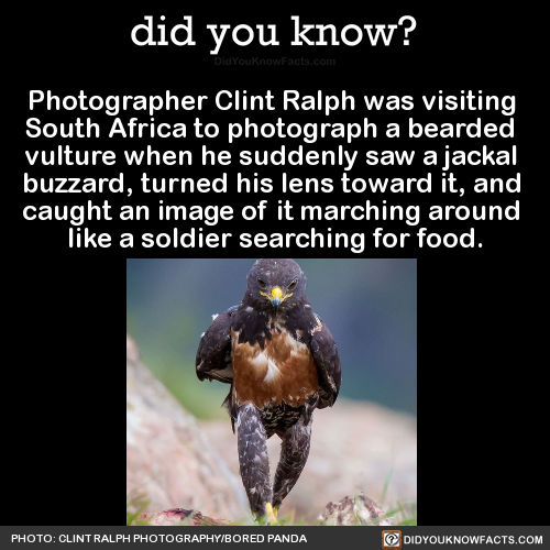 photographer-clint-ralph-was-visiting-south