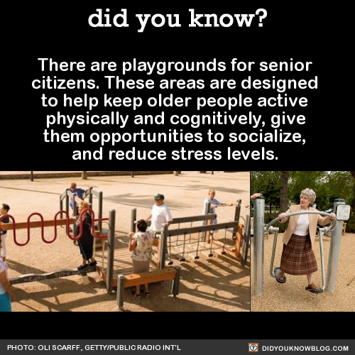 there-are-playgrounds-for-senior-citizens-these
