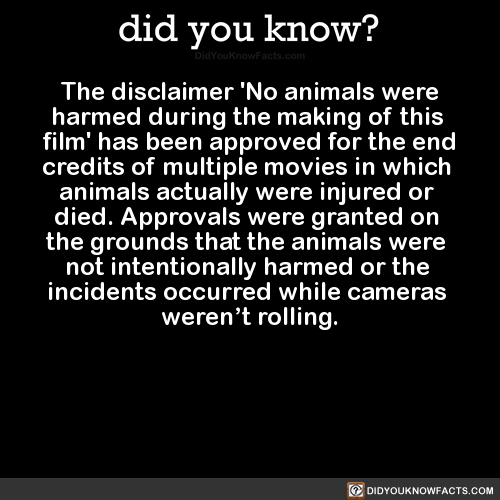 the-disclaimer-no-animals-were-harmed-during-the - did you know?