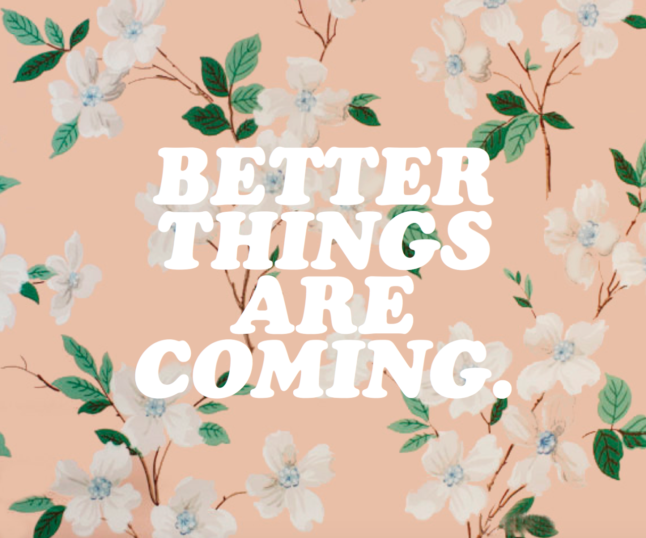 El regreso... Better things are coming!