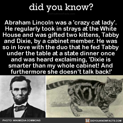 abraham-lincoln-was-a-crazy-cat-lady-he