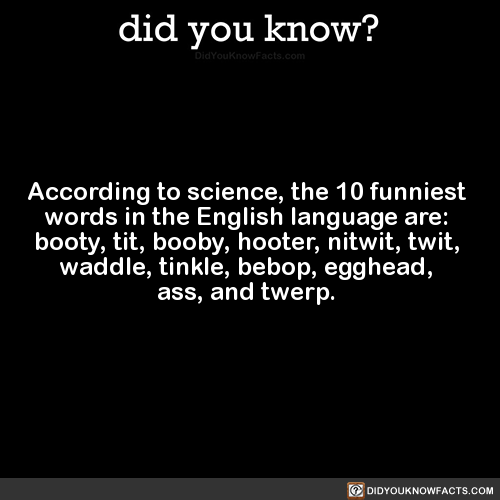 according-to-science-the-10-funniest-words-in