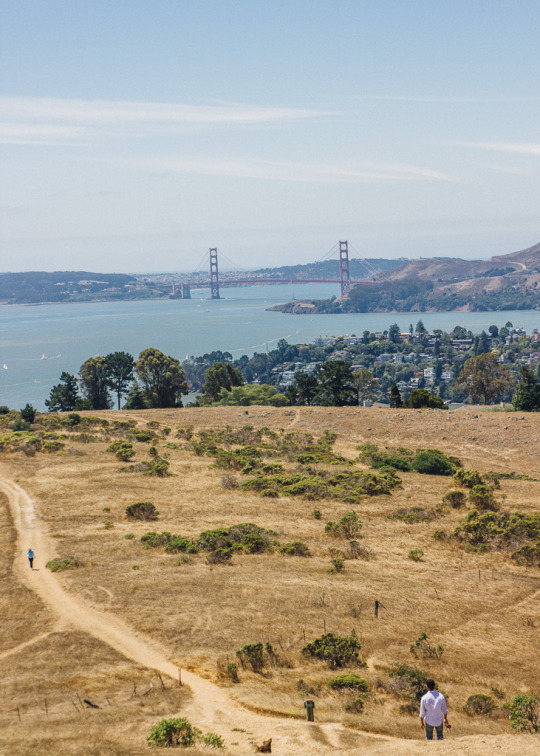 view of Golden gate bridge from Tiburon's St. Hilary Open space Preserve