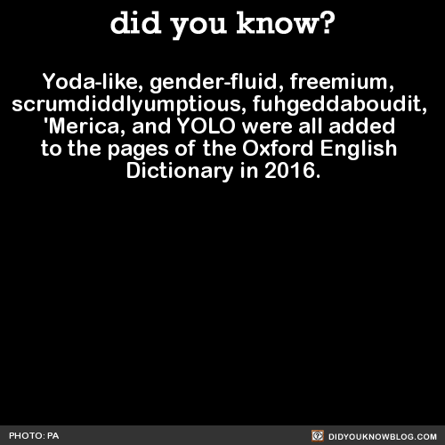 did-you-kno-yoda-like-gender-fluid-freemium