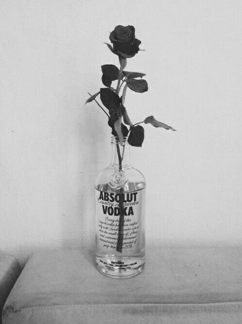 black rose on Tumblr
