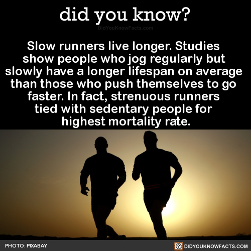 slow-runners-live-longer-studies-show-people-who