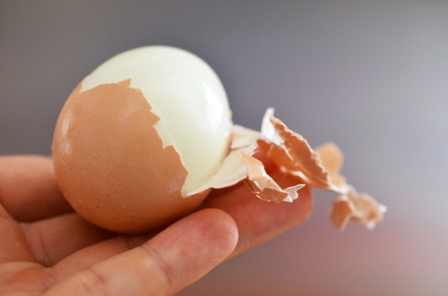Peeling the egg shell off a hard boiled egg.