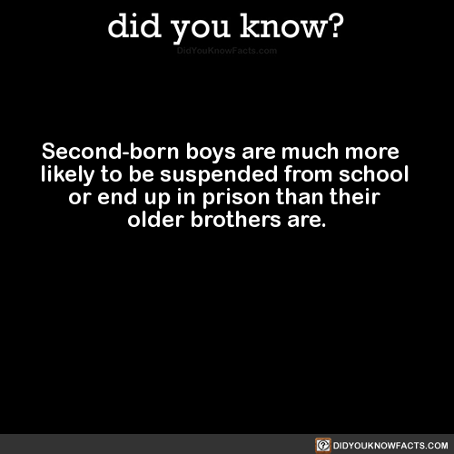 second-born-boys-are-much-more-likely-to-be