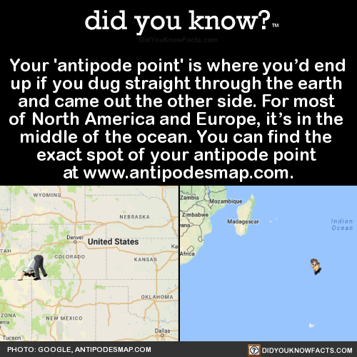 your-antipode-point-is-where-youd-end-up-if