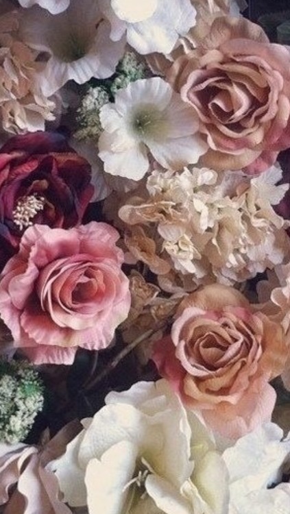 Best Floral iPhone 6 / 7 / 8 Wallpapers & Backgrounds ...