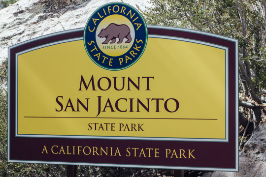 Mount Jacinto State park, Palm Springs getaway