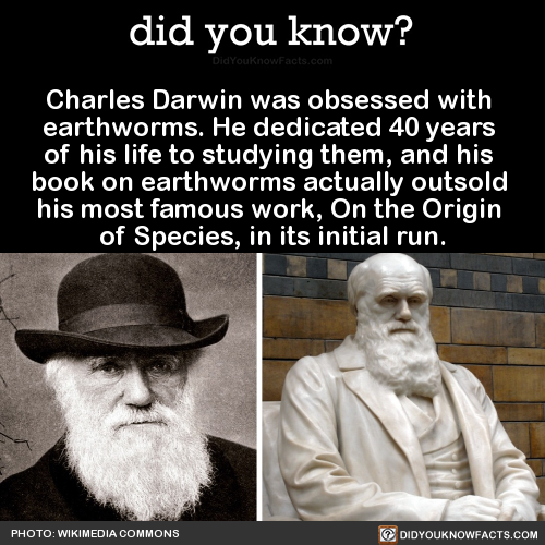 charles-darwin-was-obsessed-with-earthworms-he