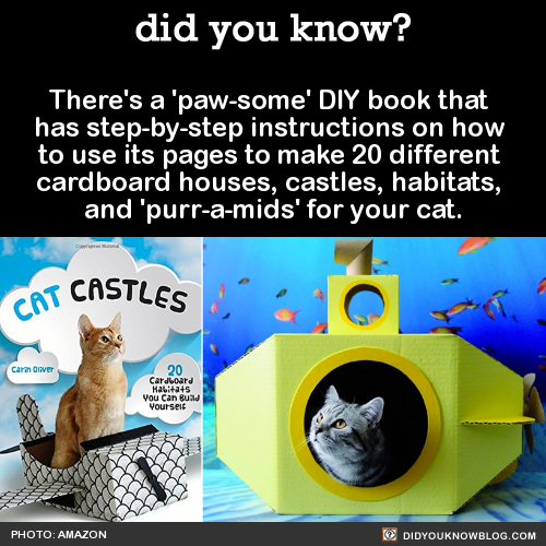 theres-a-paw-some-diy-book-that-has