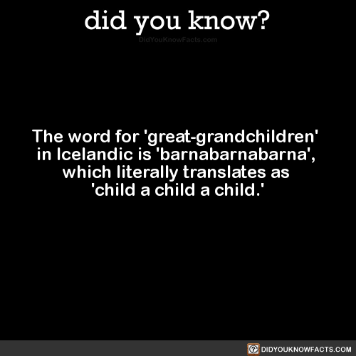 the-word-for-great-grandchildren-in-icelandic