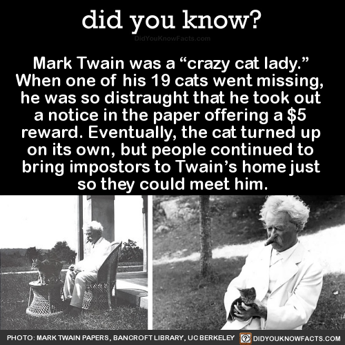 mark-twain-was-a-crazy-cat-lady-when-one-of
