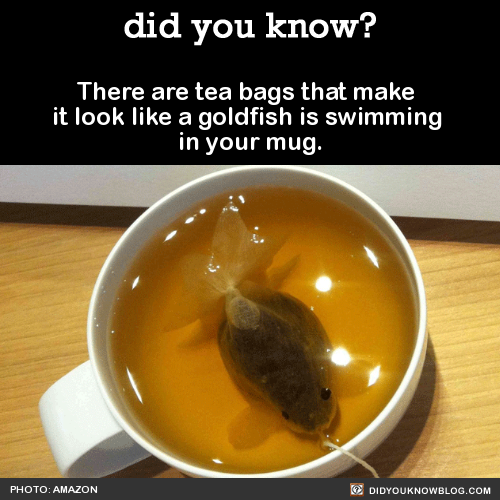 there-are-tea-bags-that-make-it-look-like-a