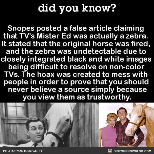 snopes-posted-a-false-article-claiming-that-tvs