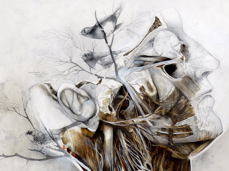 Author: Nunzio Paci Title: The wind that sculpts your veins (Detail) Dim: cm 100x100 Tecnique: pencil and oil on canvas Year: 2014 Tumblr Blog: http://nunziopaci.tumblr.com/ Website: http://www.nunziopaci.it