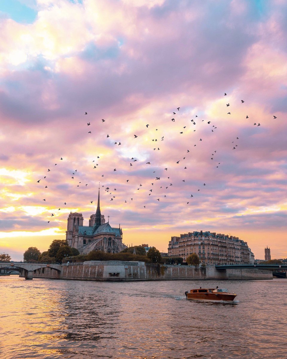 Sunset over Notre-Dame de Paris by Saul Aguilar.