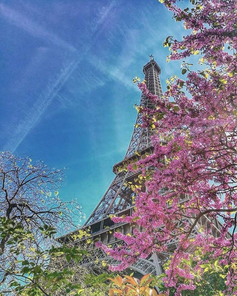 Spring in Paris by Japhète Urci.