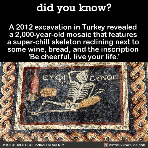 did-you-kno-a-2012-excavation-in-turkey-revealed