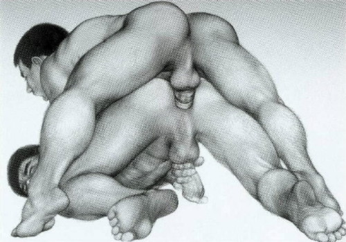 Gay Erotic Illustrations 5