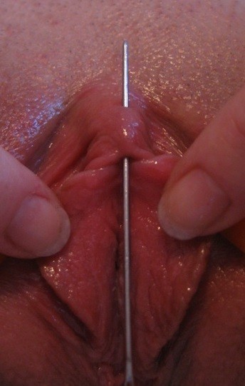 Needle In Pussy 82