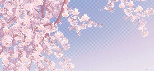 sakura blossom gif | Tumblr