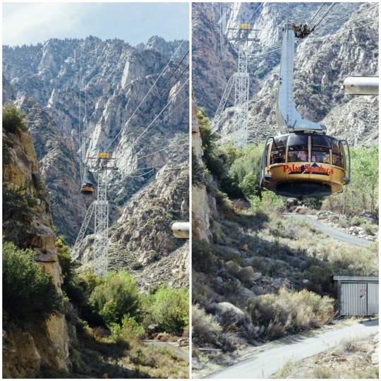 Palm Springs weekend getaway attraction: Aerial tramway