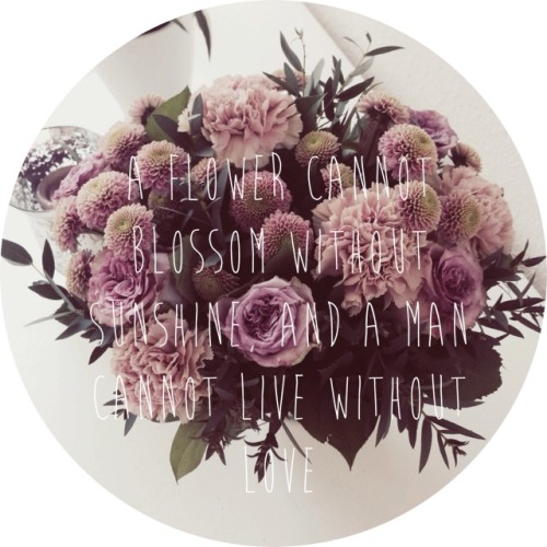 flower quote on Tumblr