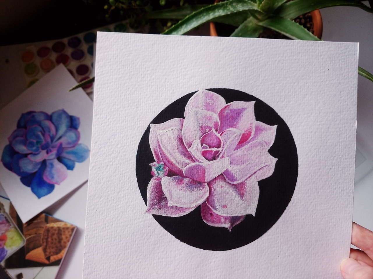 8x8’’ watercolor succulent painting // Facebook / Instagram