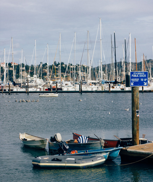 Sausalito Bay Area airbnb pet friendly staycation, sausalito marina