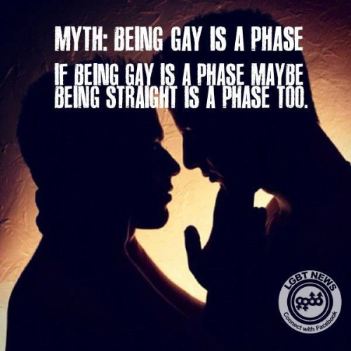 Gay Myth 113