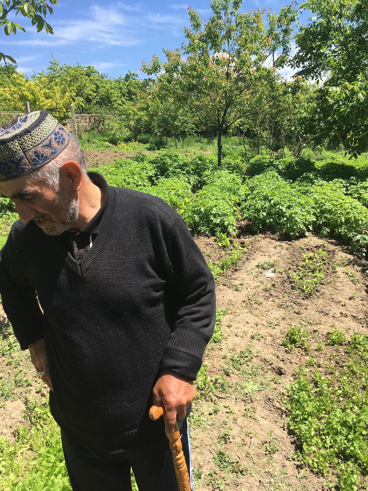 This is Hegiget in his garden. His name means “truth,” and he shared his mint with us.