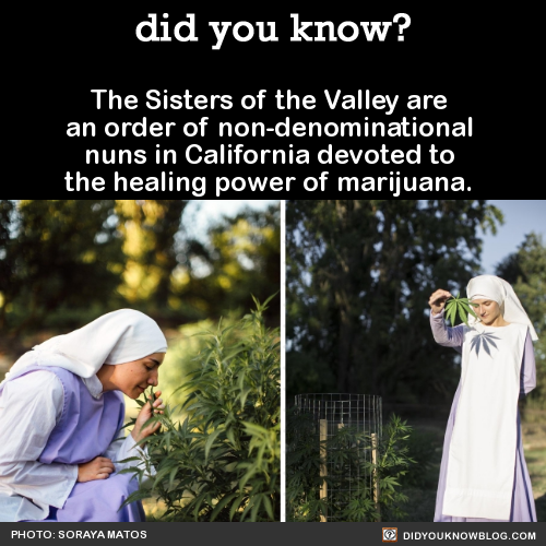 did-you-kno-the-sisters-of-the-valley-are-an