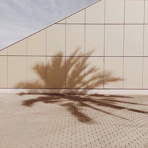 light brown aesthetic | Tumblr