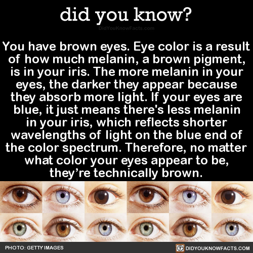 you-have-brown-eyes-eye-color-is-a-result-of-how