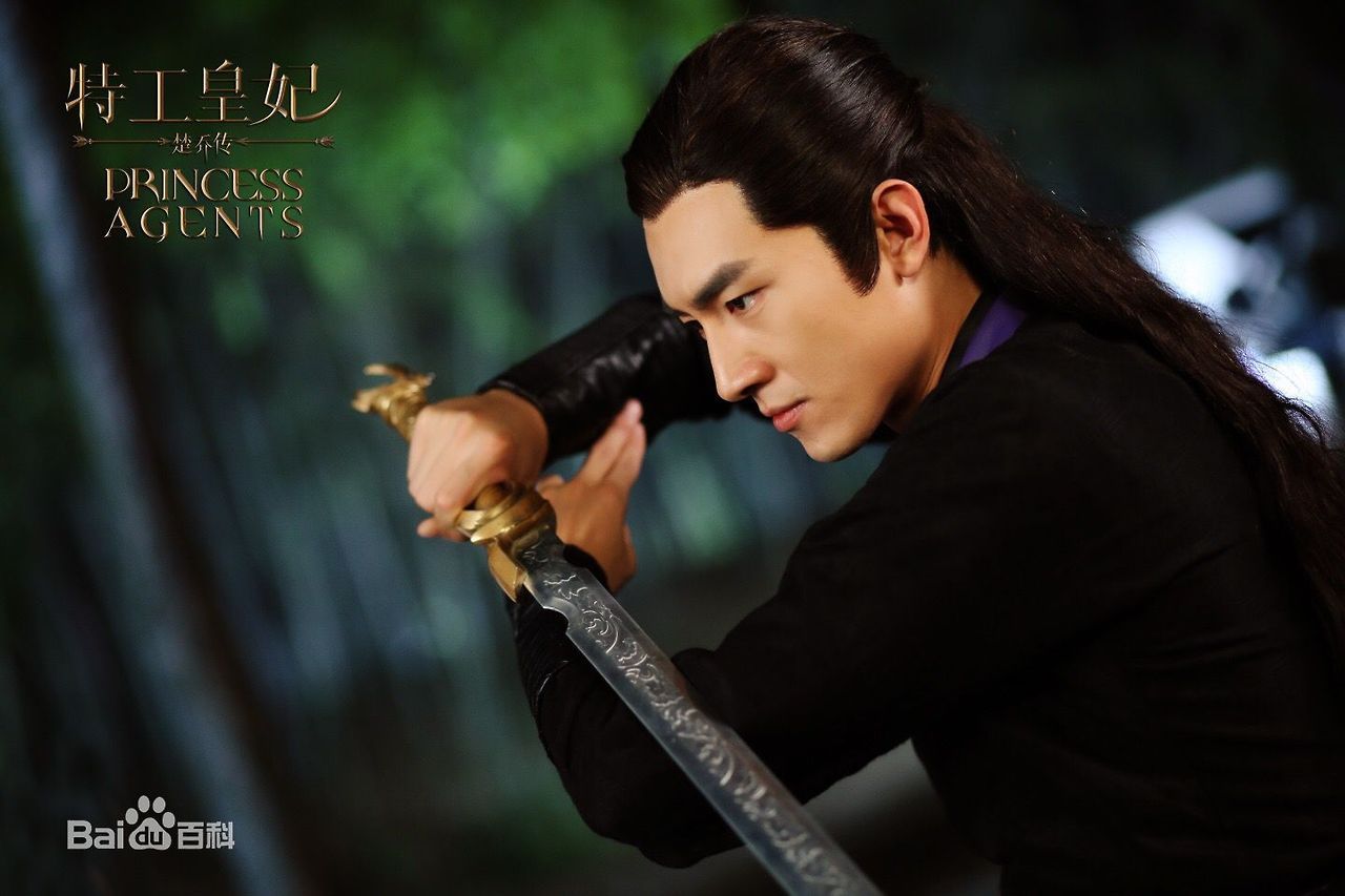 Image result for princess agents