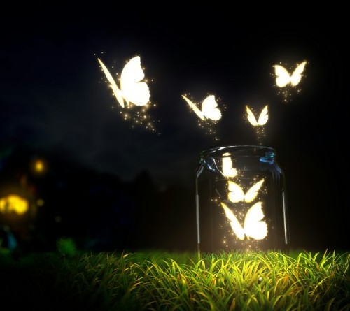 Butterfly by blitz