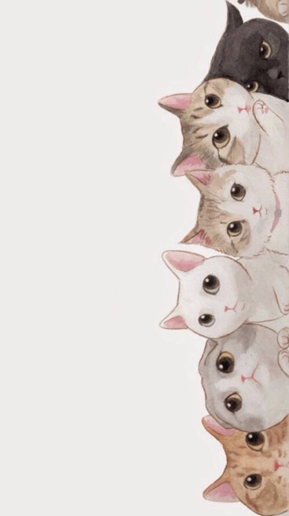 fondos-de-gatos | Tumblr