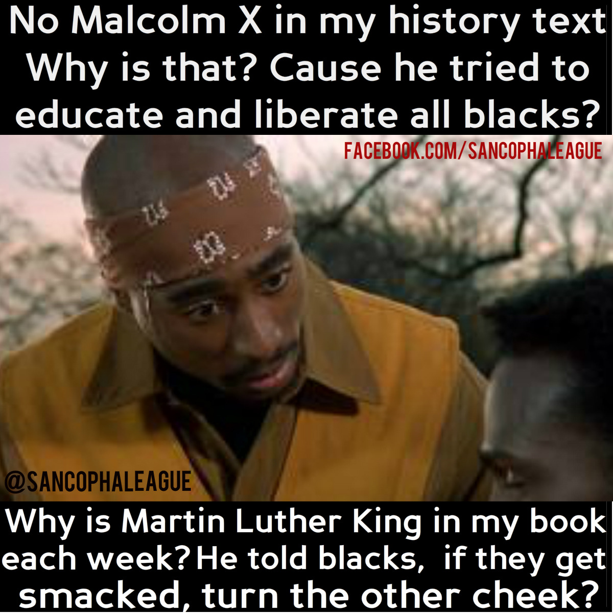 Compare and contrast Martin Luther King and Malcolm X.